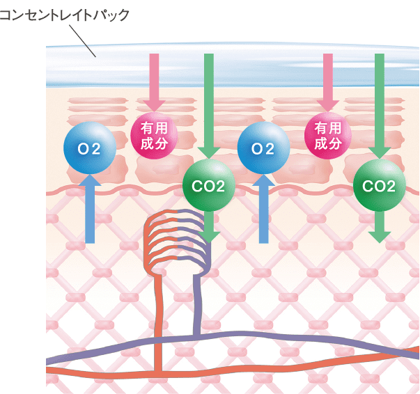 コンセントレイトパックイメージ画像