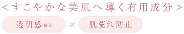 <すこやかな美肌へ導く有用成分> 透明感 ※3　×　肌荒れ防止