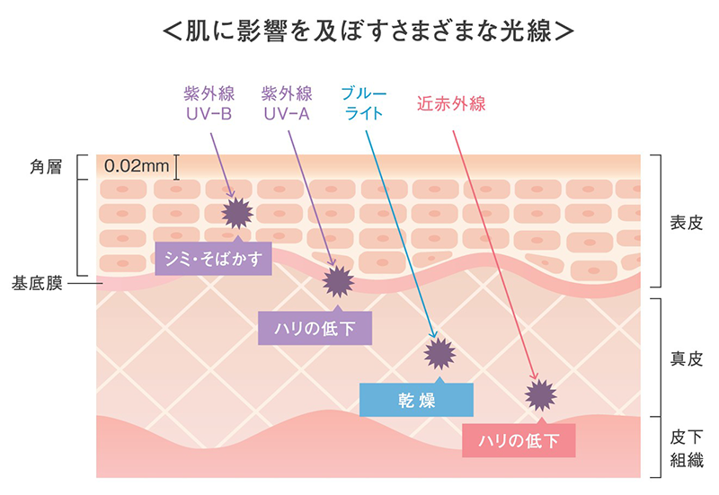 肌に影響を及ばすさまざまな光線
